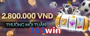 365win