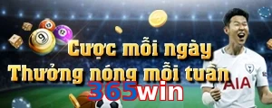 365win